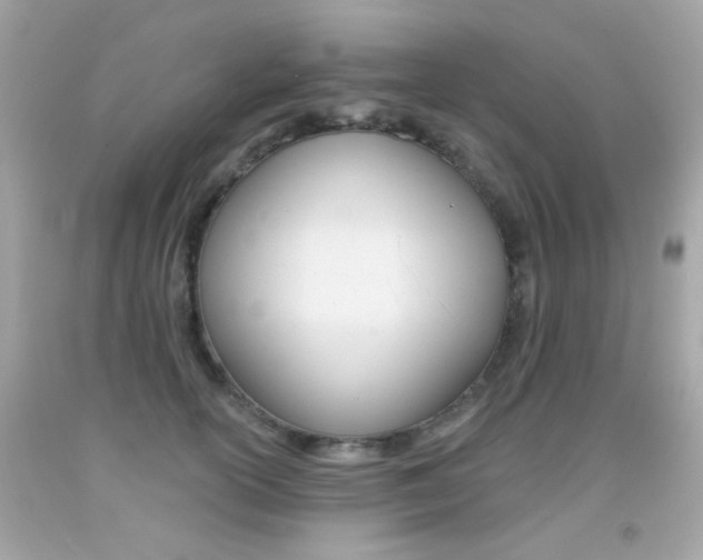 X0000092080754200709121105