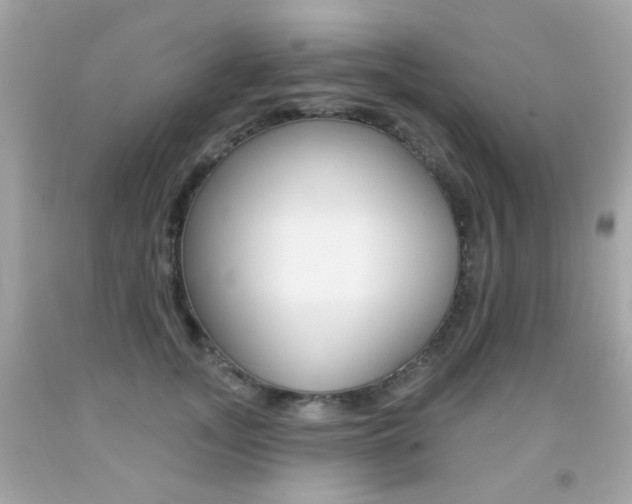 X0000092080755200709121105