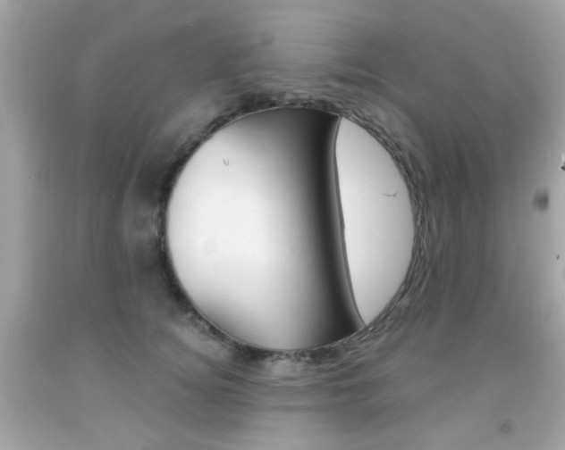 X0000092080756200709121105