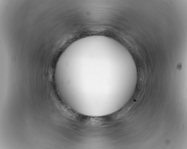 X0000092080758200709121105
