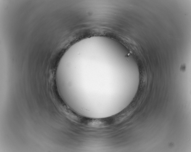 X0000092080759200709121105
