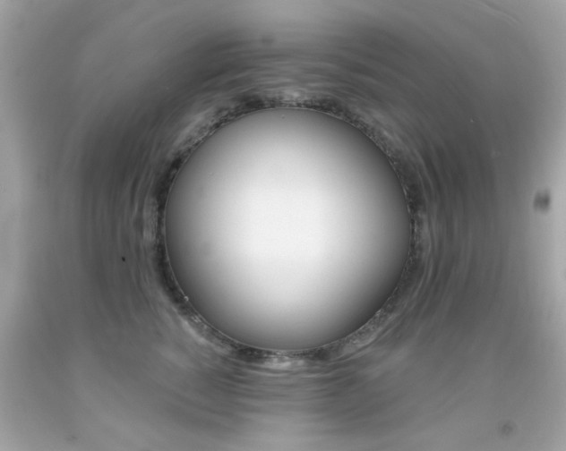 X0000092080760200709121105