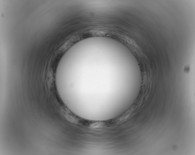 X0000092080761200709121105