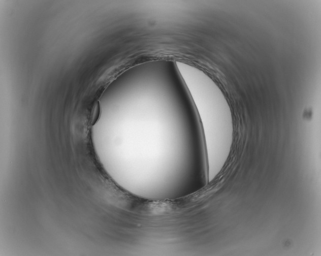 X0000092080762200709121105