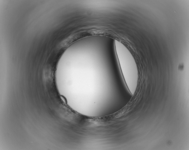 X0000092080763200709121105