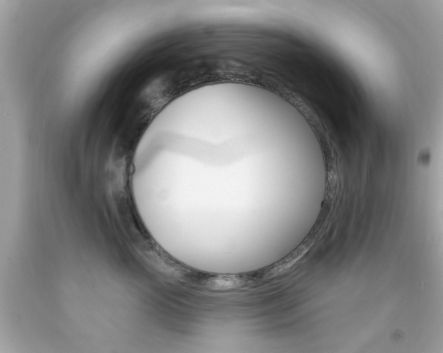 X0000092080765200709121105