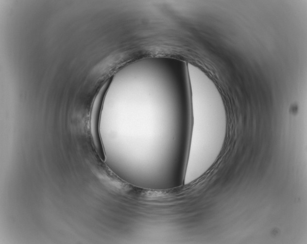 X0000092080766200709121105