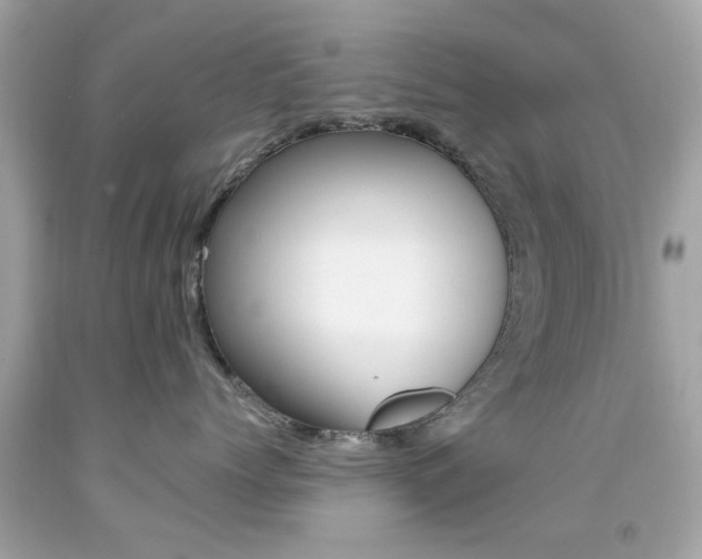 X0000092080768200709121105