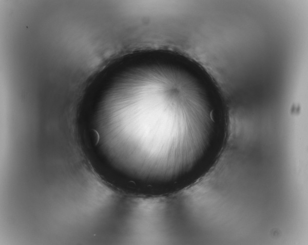 X0000092080770200709121105