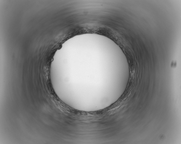 X0000092080772200709121105