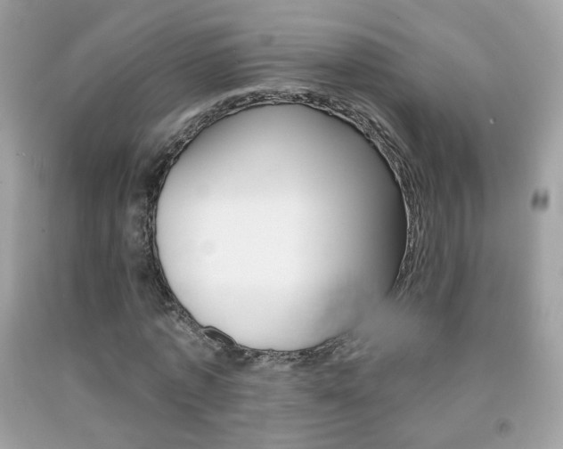 X0000092080773200709121105