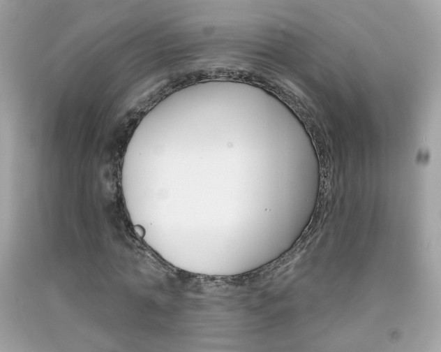X0000092080774200709121105