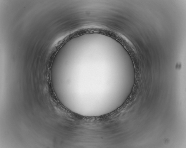 X0000092080775200709121105