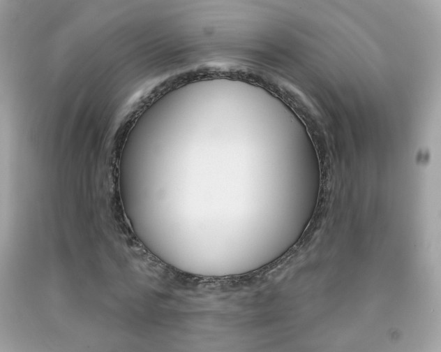 X0000092080776200709121105