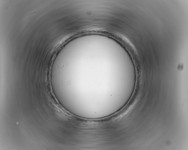 X0000092080777200709121105