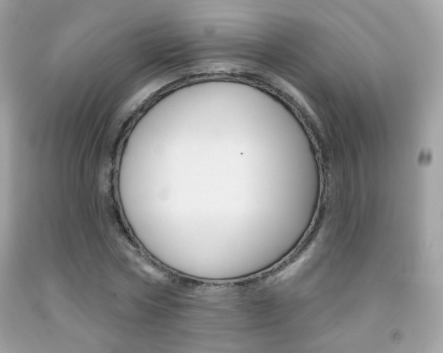 X0000092080778200709121105