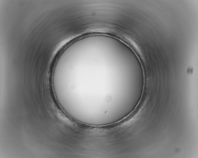 X0000092080779200709121105