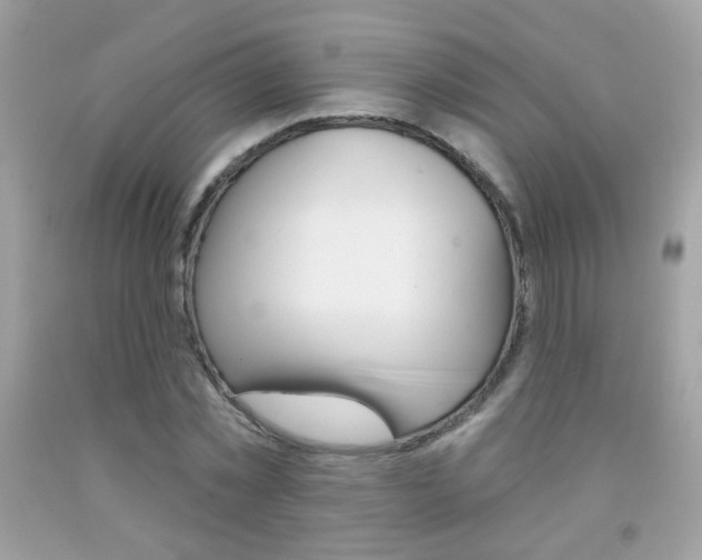 X0000092080781200709121105