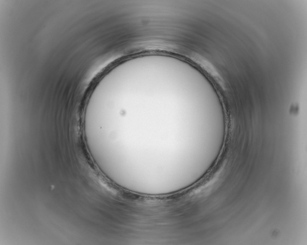 X0000092080782200709121105