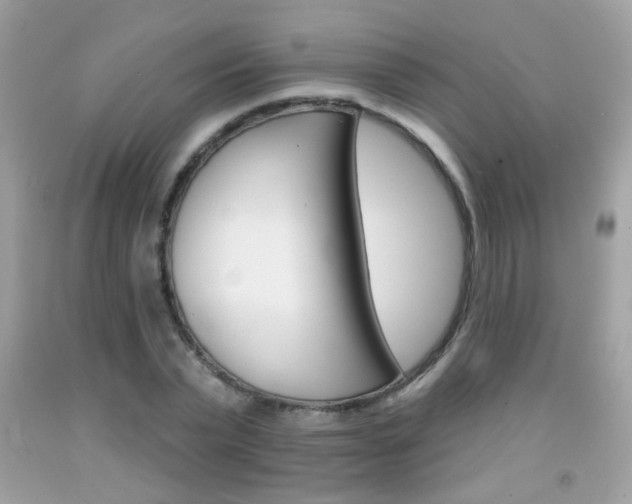 X0000092080783200709121105