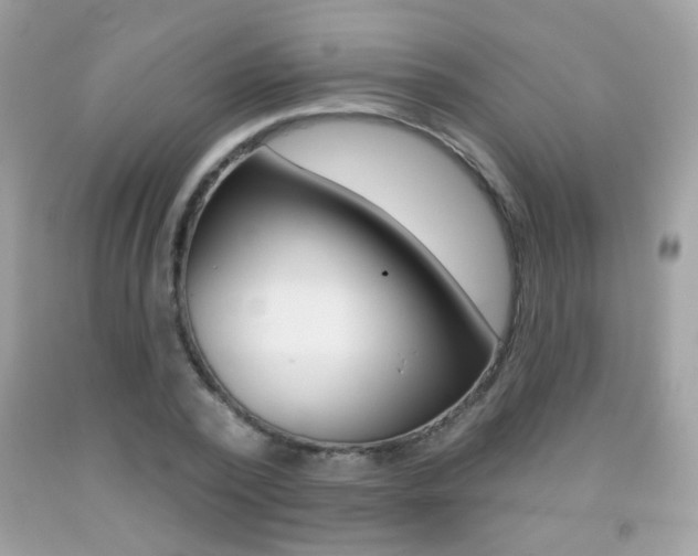 X0000092080784200709121105