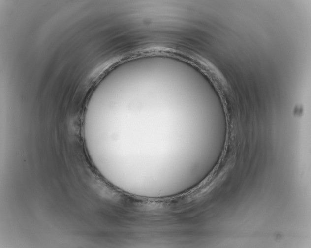 X0000092080785200709121105
