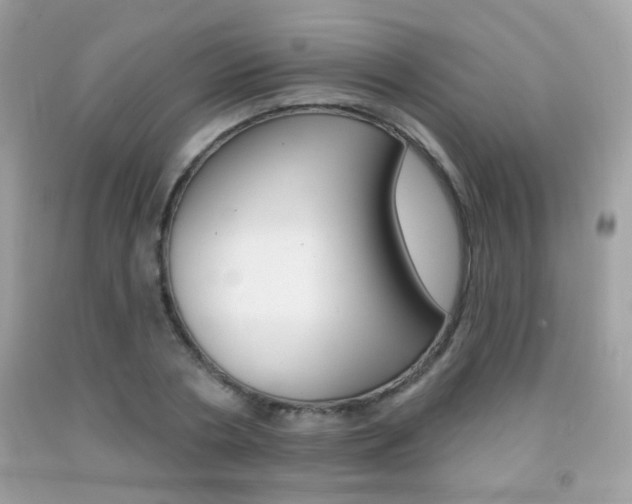 X0000092080786200709121105