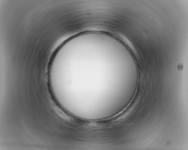X0000092080787200709121105