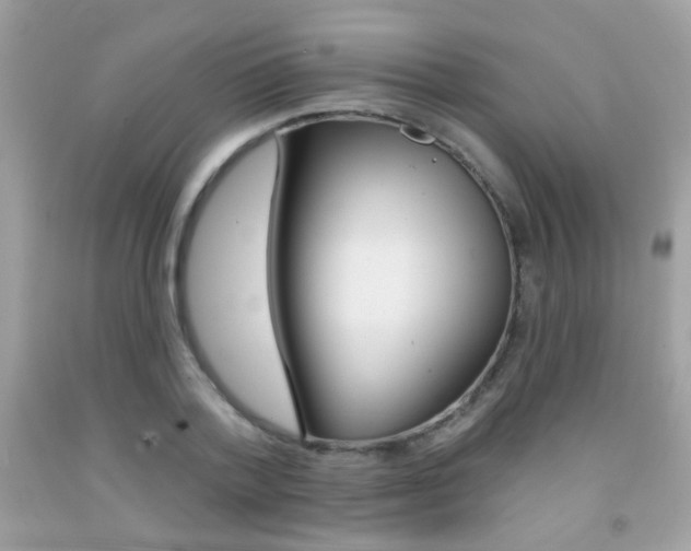 X0000092080788200709121105