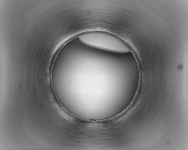 X0000092080789200709121105