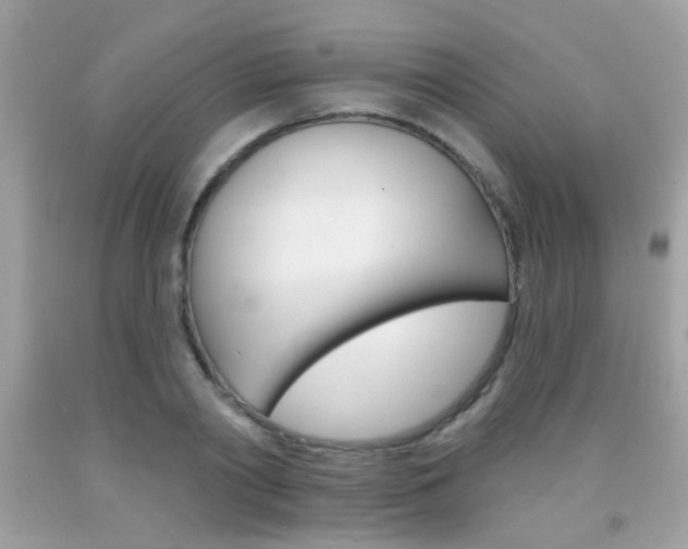 X0000092080790200709121105