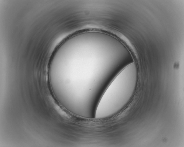 X0000092080791200709121105