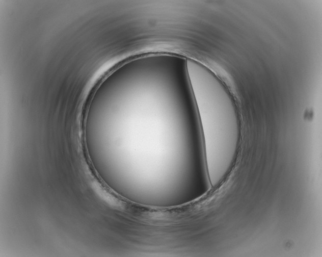 X0000092080792200709121105