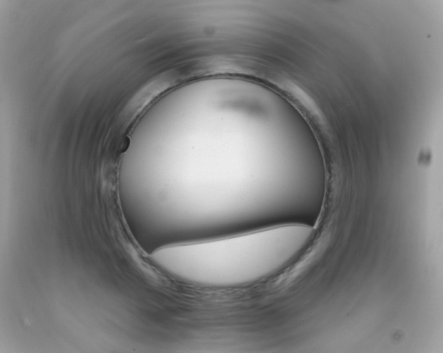 X0000092080793200709121105