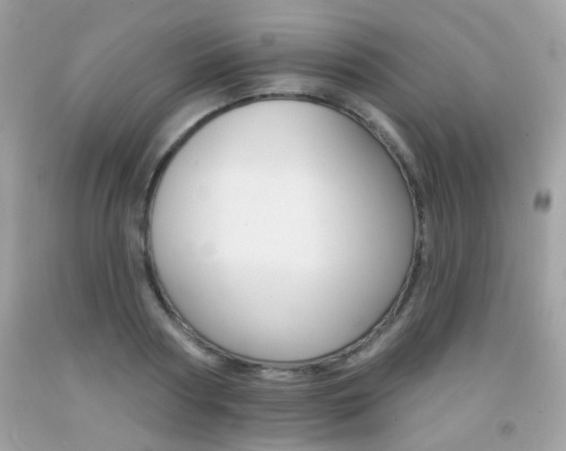 X0000092080794200709121105