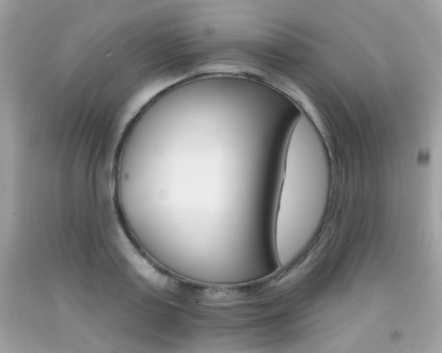 X0000092080795200709121105