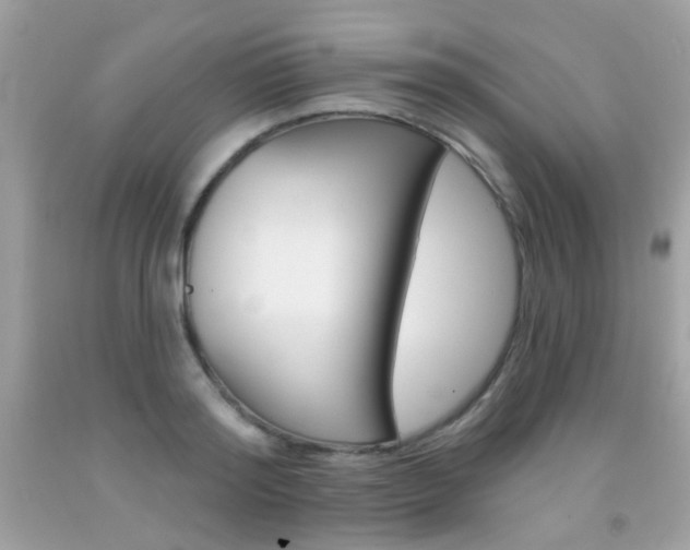 X0000092080796200709121105