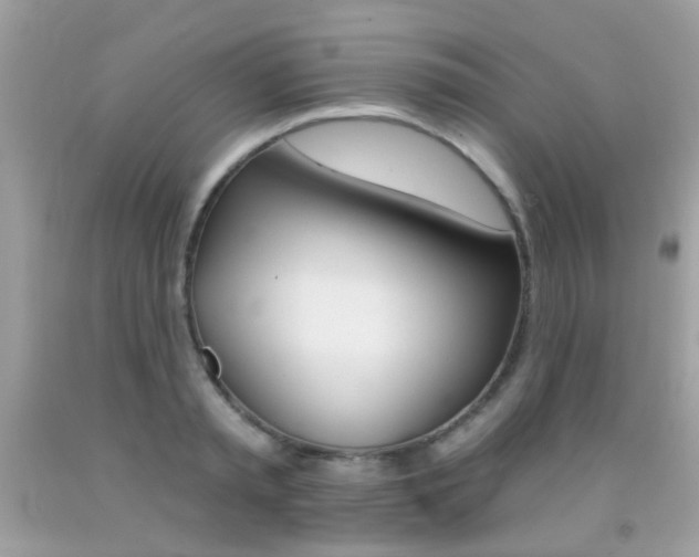 X0000092080797200709121105