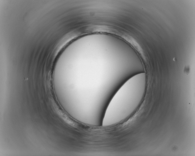 X0000092080798200709121105