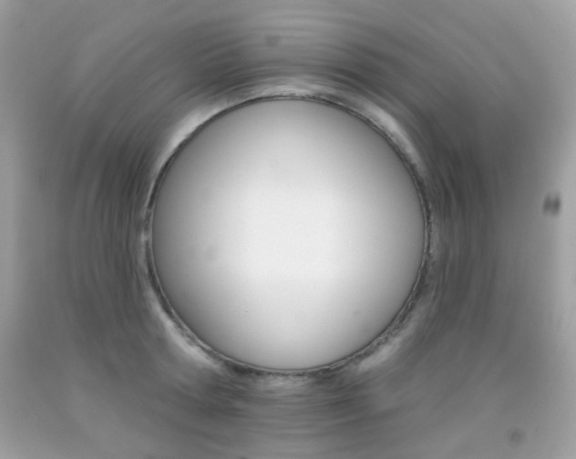 X0000092080802200709121104