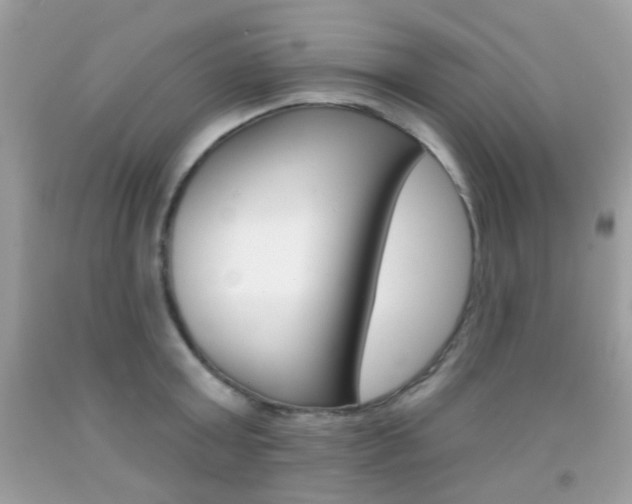 X0000092080803200709121104