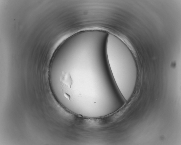 X0000092080805200709121104
