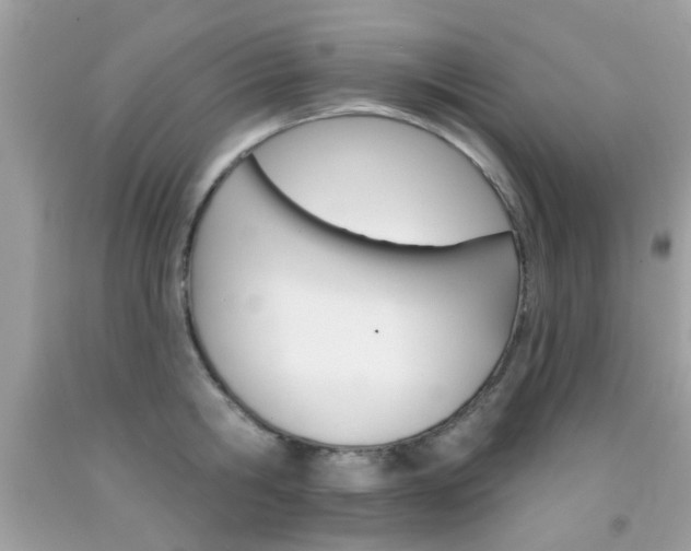 X0000092080806200709121104