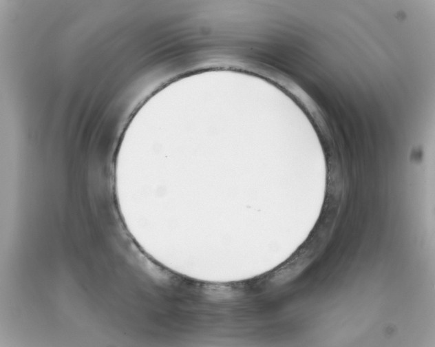 X0000092080807200709121104