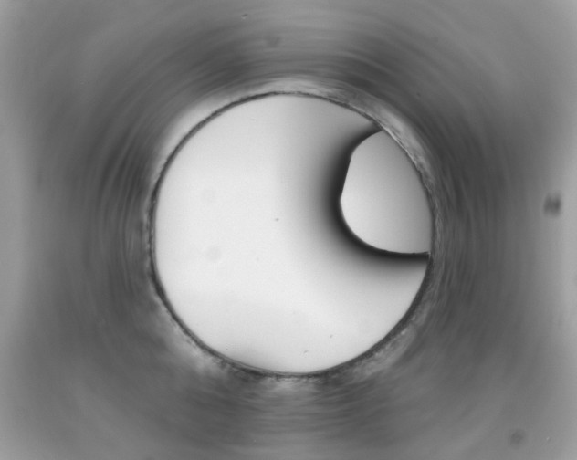X0000092080808200709121104