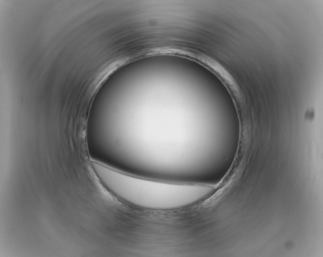 X0000092080809200709121104