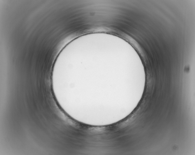 X0000092080810200709121104