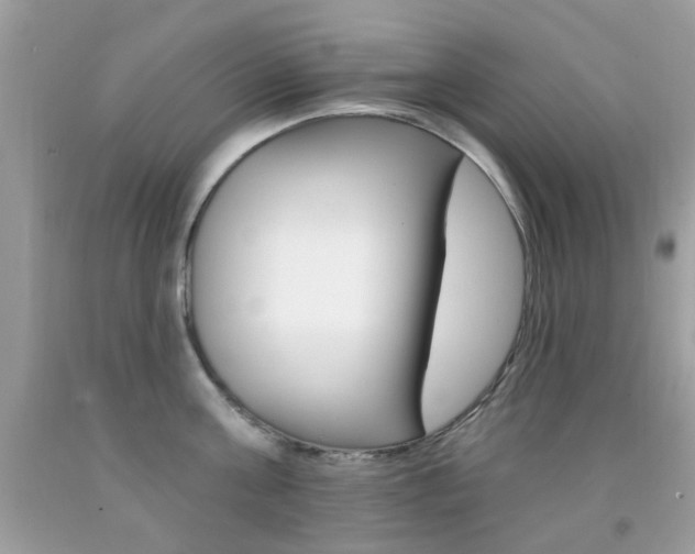 X0000092080811200709121104