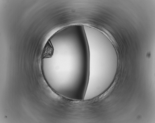 X0000092080812200709121104