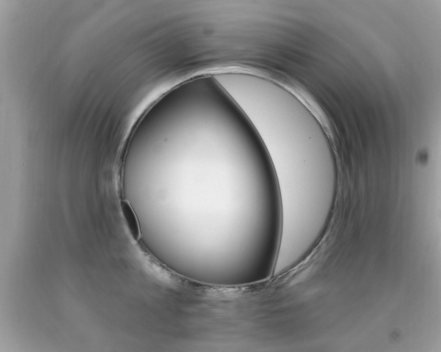 X0000092080813200709121104